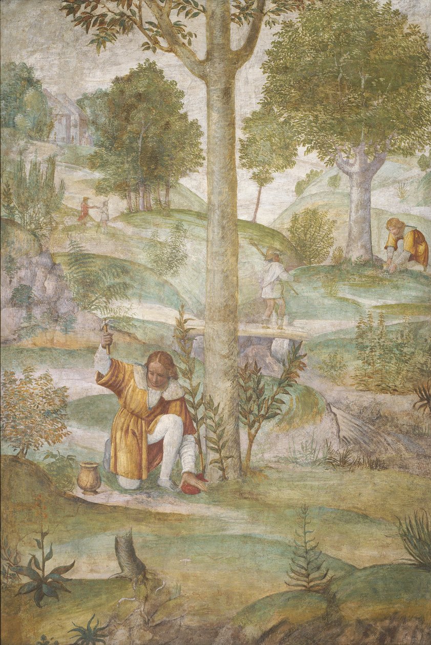 Cephalus piilottelee jalokiviä tekijältä Bernardino Luini