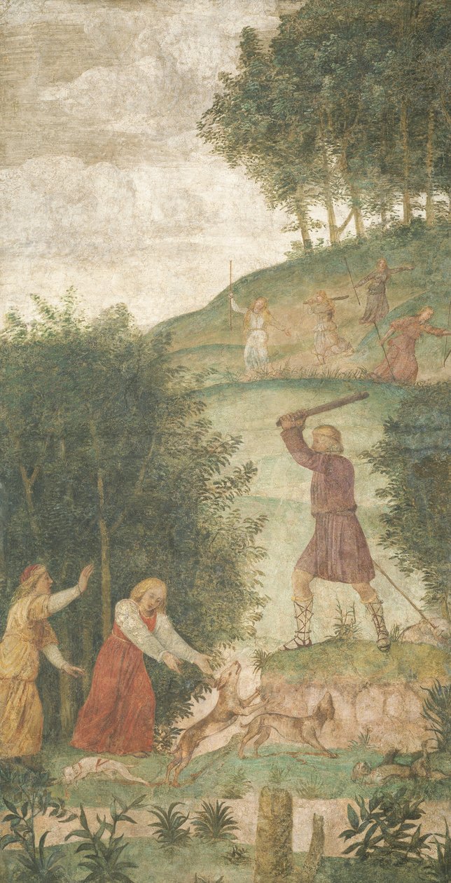 Cephalus rangaistiin metsästyksessä tekijältä Bernardino Luini