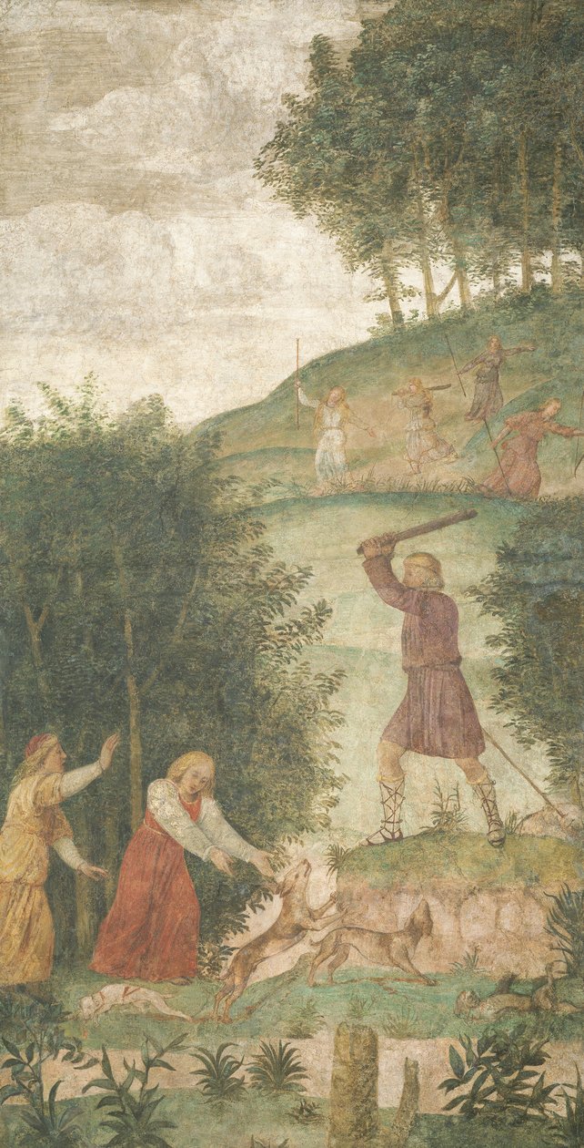 Cephalus rankaisi metsästyksessä, n. 15201522. tekijältä Bernardino Luini