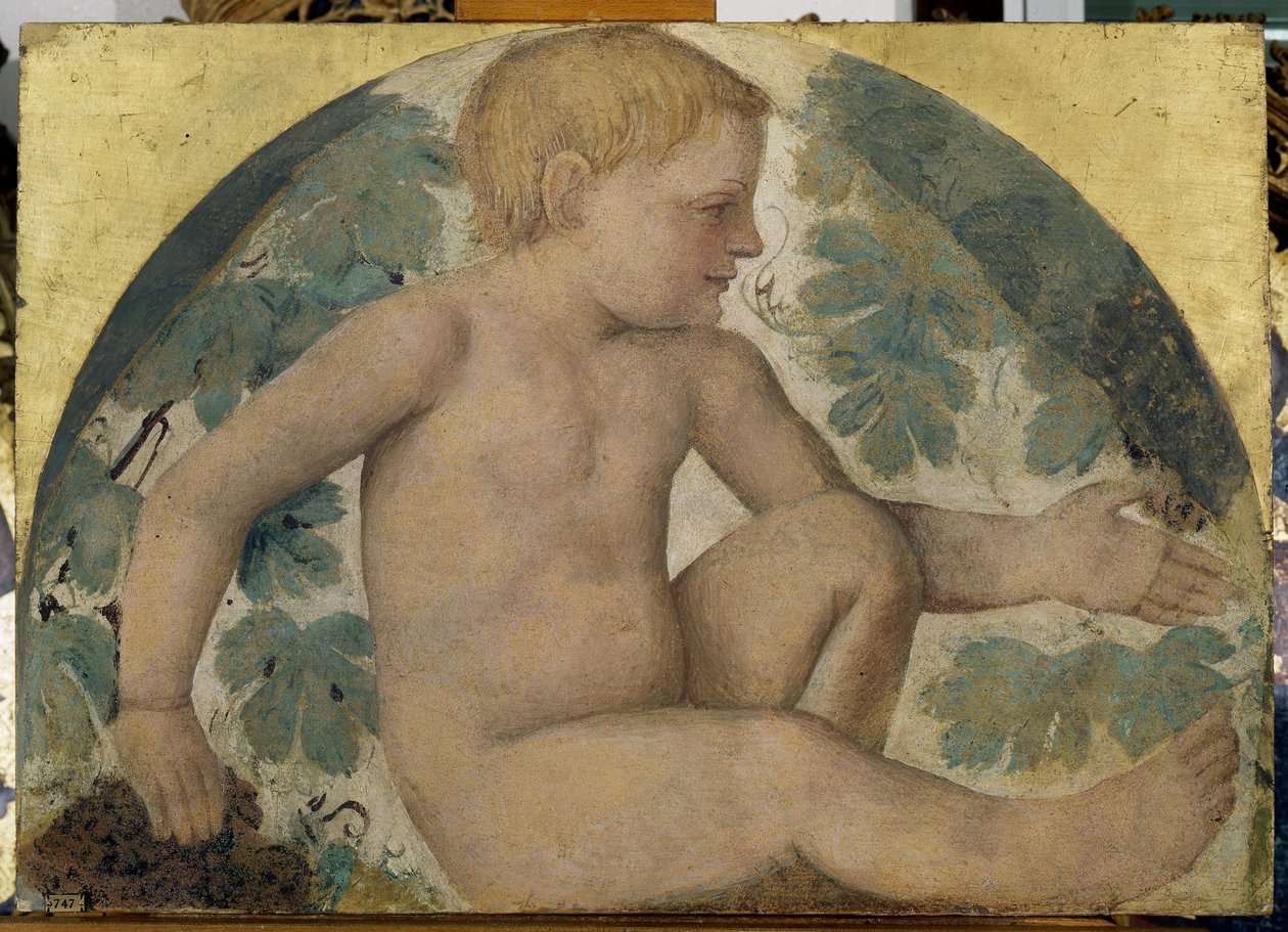 Sadonkorjuuputti - Putto pergolan alla, n. 1514 (irrotettu fresko aluksella) tekijältä Bernardino Luini