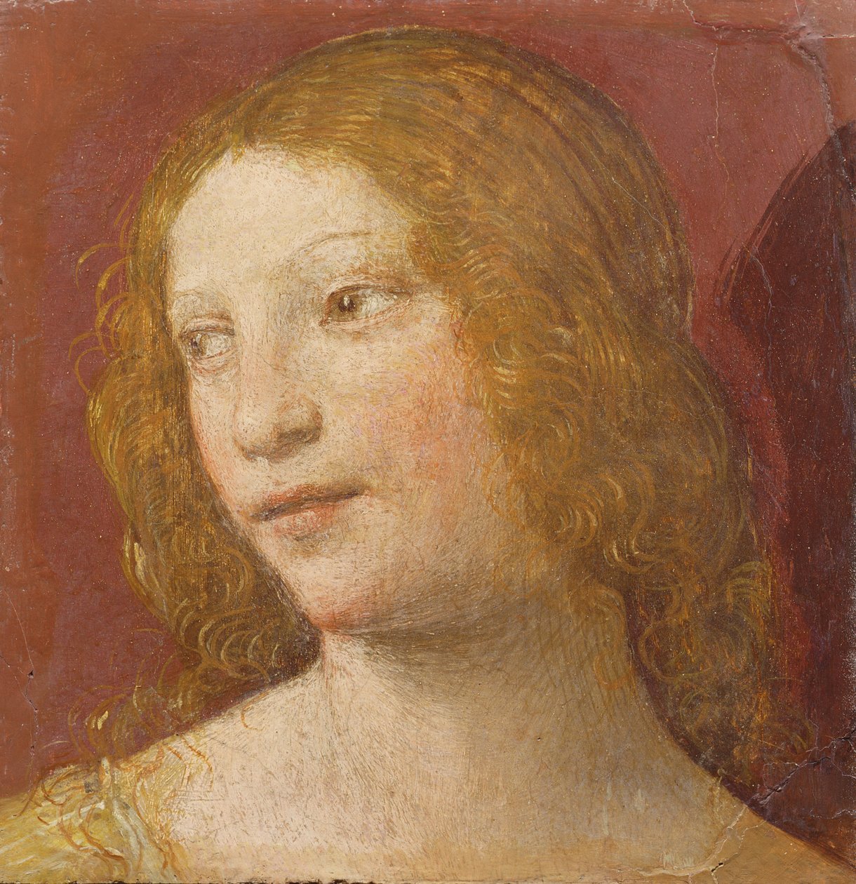 Nuoren naisen johtaja tekijältä Bernardino Luini