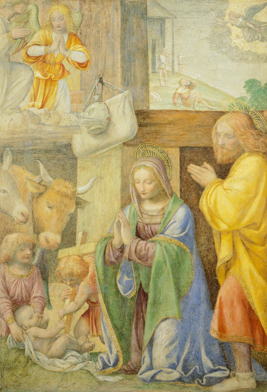 Syntymä ja ilmestys paimenille, Bernardino Line tekijältä Bernardino Luini