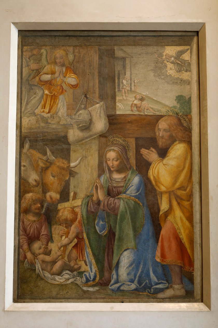 Syntymä ja paimenten palvonta, n. 1520-1525 (öljy paneelissa) tekijältä Bernardino Luini