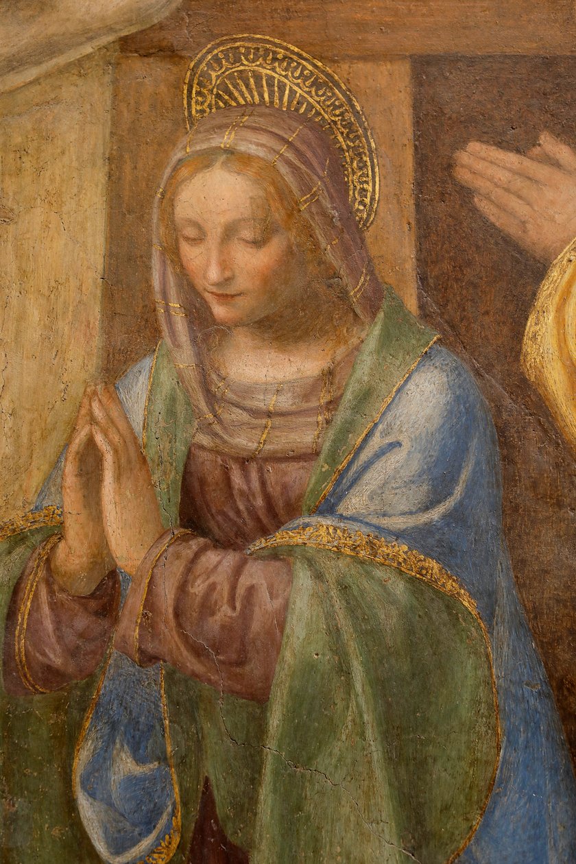 Naixement i adoració dels pastors, c. 1520-1525. Detall (oli sobre panell) acabat tekijältä Bernardino Luini