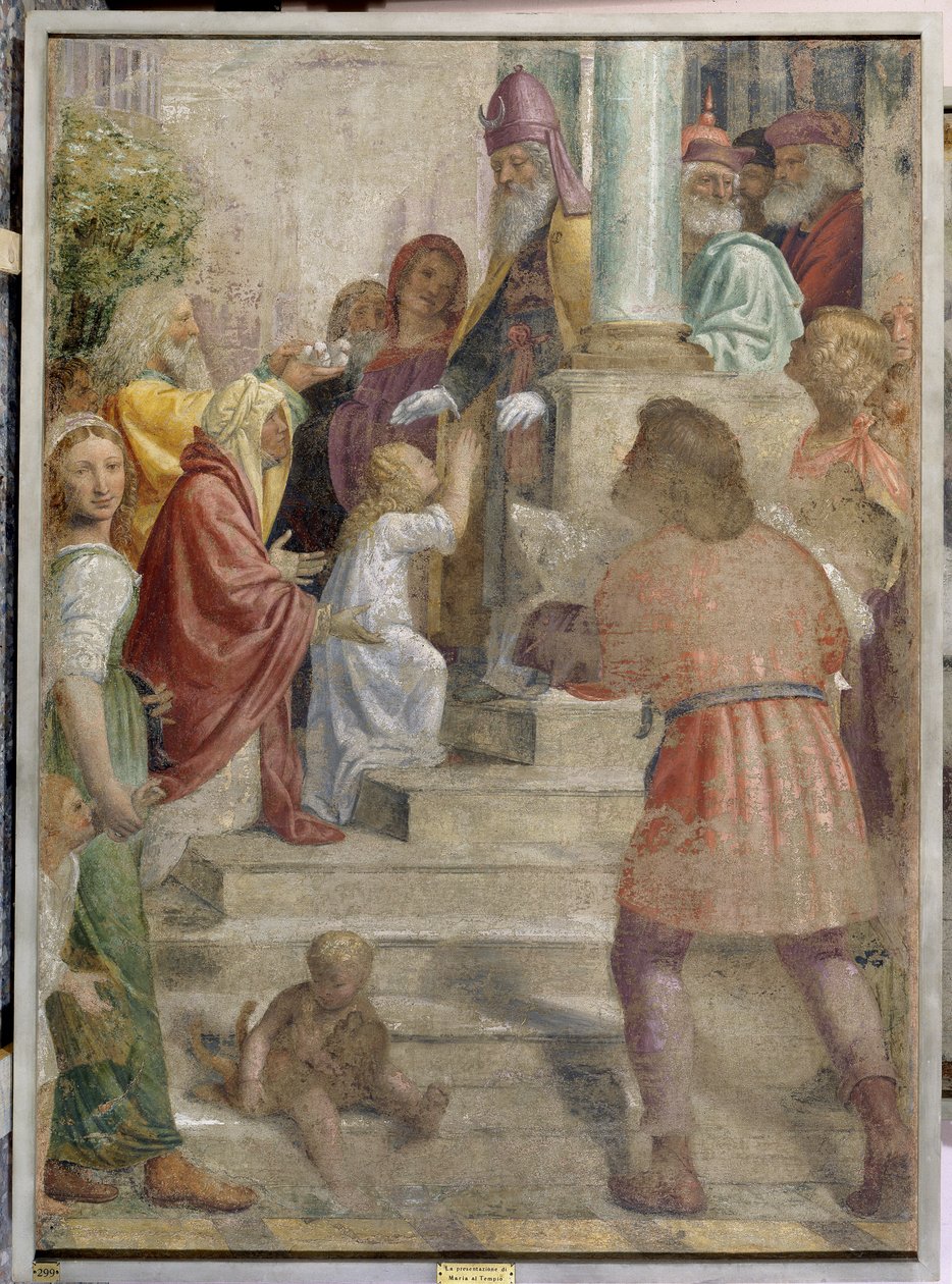 Marian esitys temppelissä tekijältä Bernardino Luini