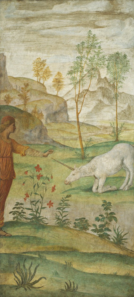Procris ja yksisarvinen tekijältä Bernardino Luini
