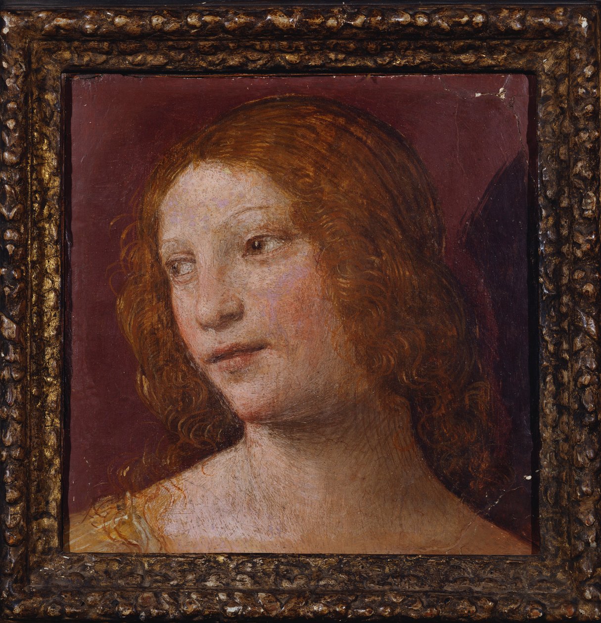 Enkelin pää - fragmentti tekijältä Bernardino Luini