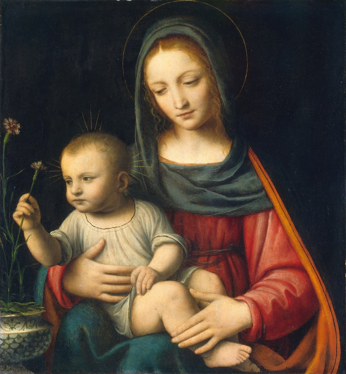 Neilikka Madonna tekijältä Bernardino Luini