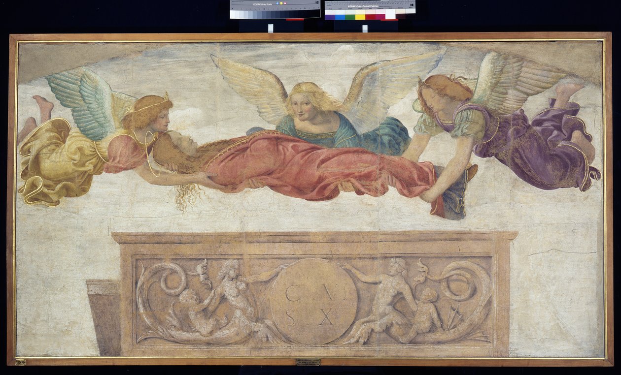Enkelien kantama Pyhän Katariinan ruumis, n. 1514 (irrotettu fresko aluksella) tekijältä Bernardino Luini