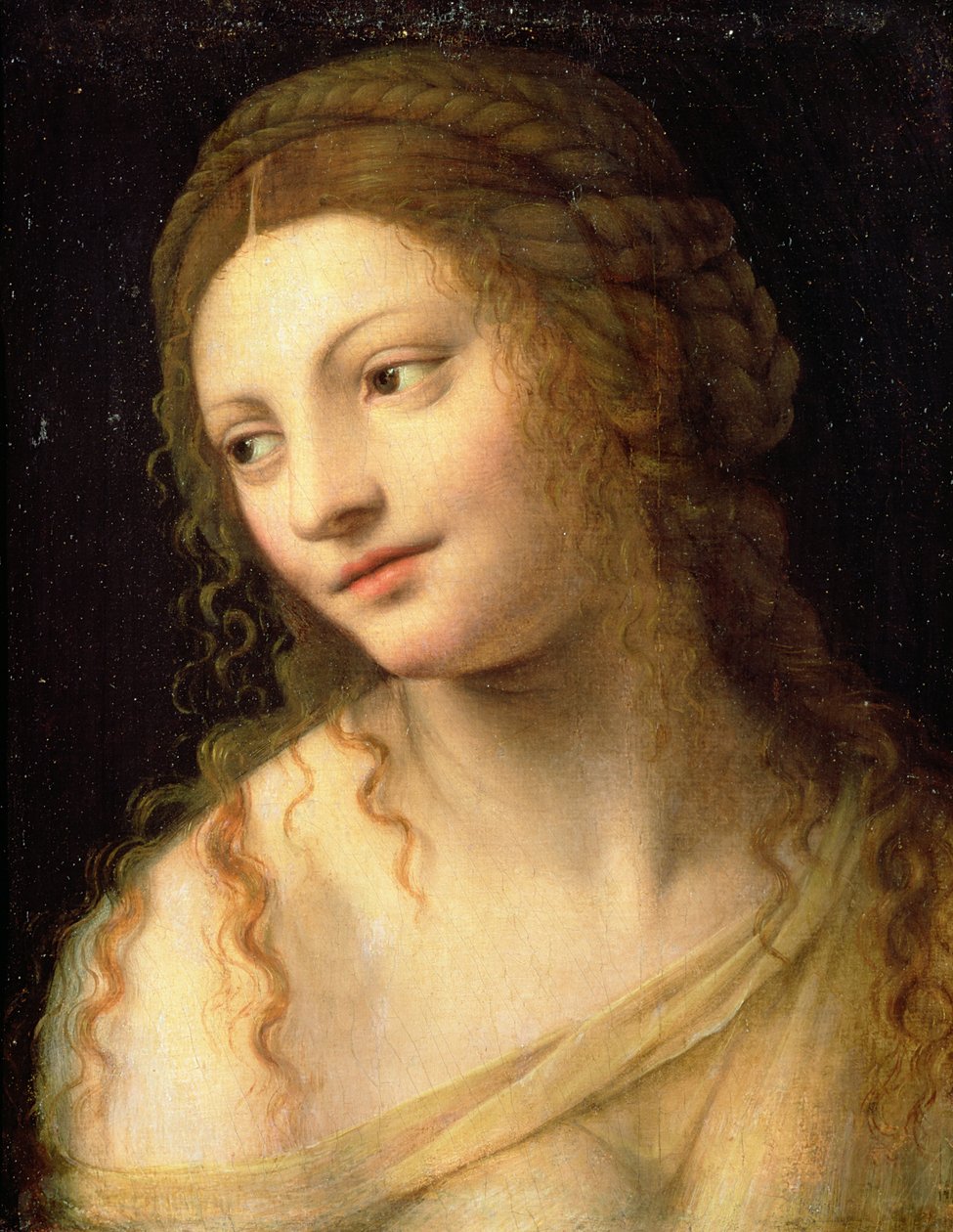 Tuntematon kuva tekijältä Bernardino Luini