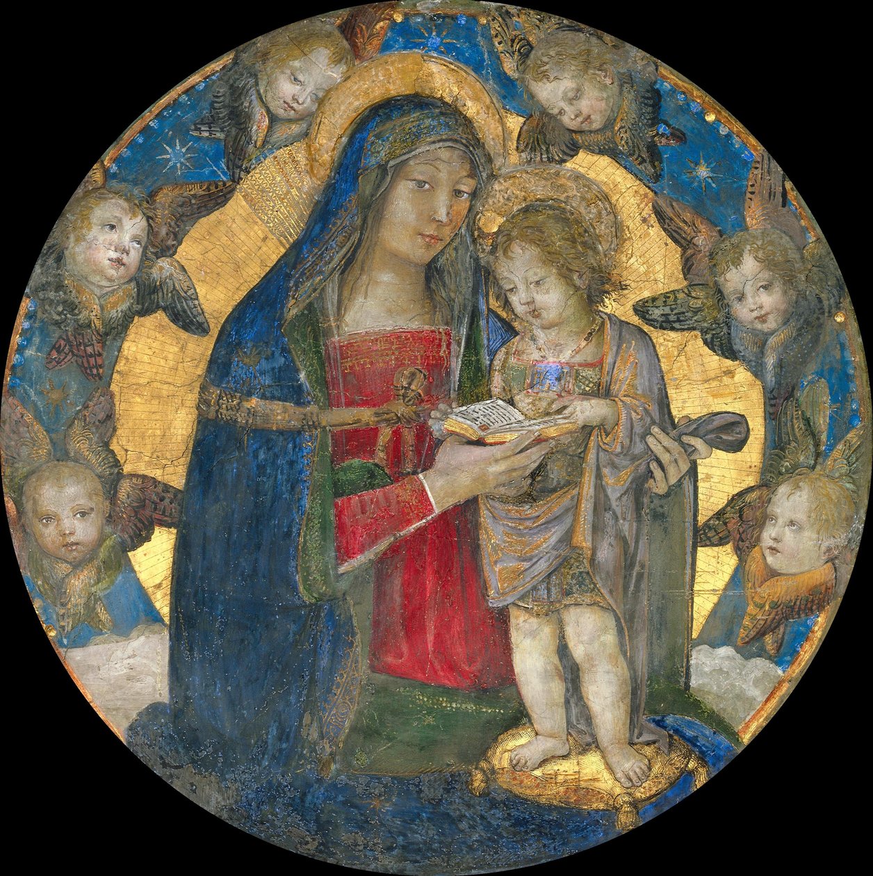 Madonna ja lapsi kerubien kanssa, 1492-1495. tekijältä Bernardino Pinturicchio