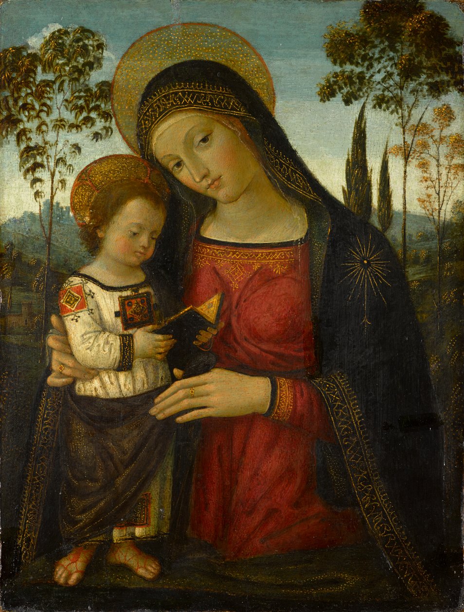 Madonna ja lapsi, noin 1490-1495 (tempera paneelissa) tekijältä Bernardino di Betto Pinturicchio