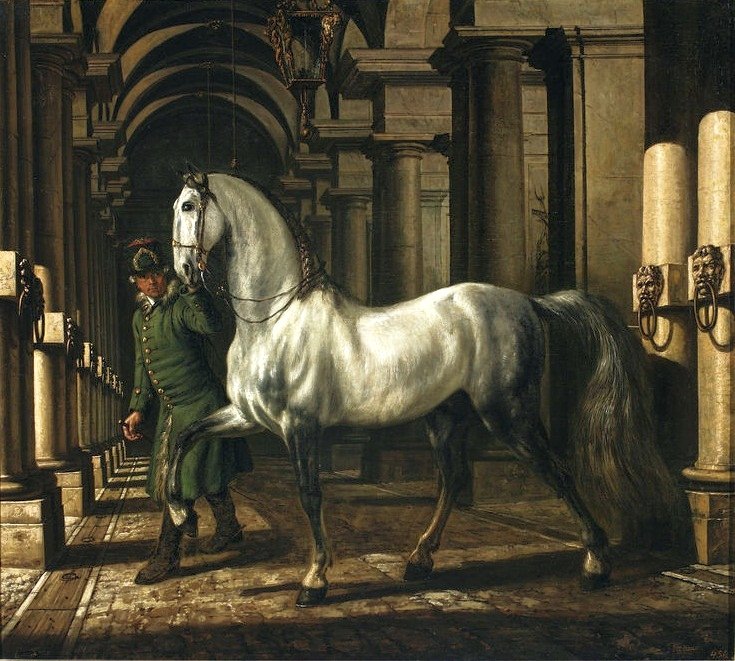 Hevosenkasvattaja johtaa hevosta tekijältä Bernardo Bellotto