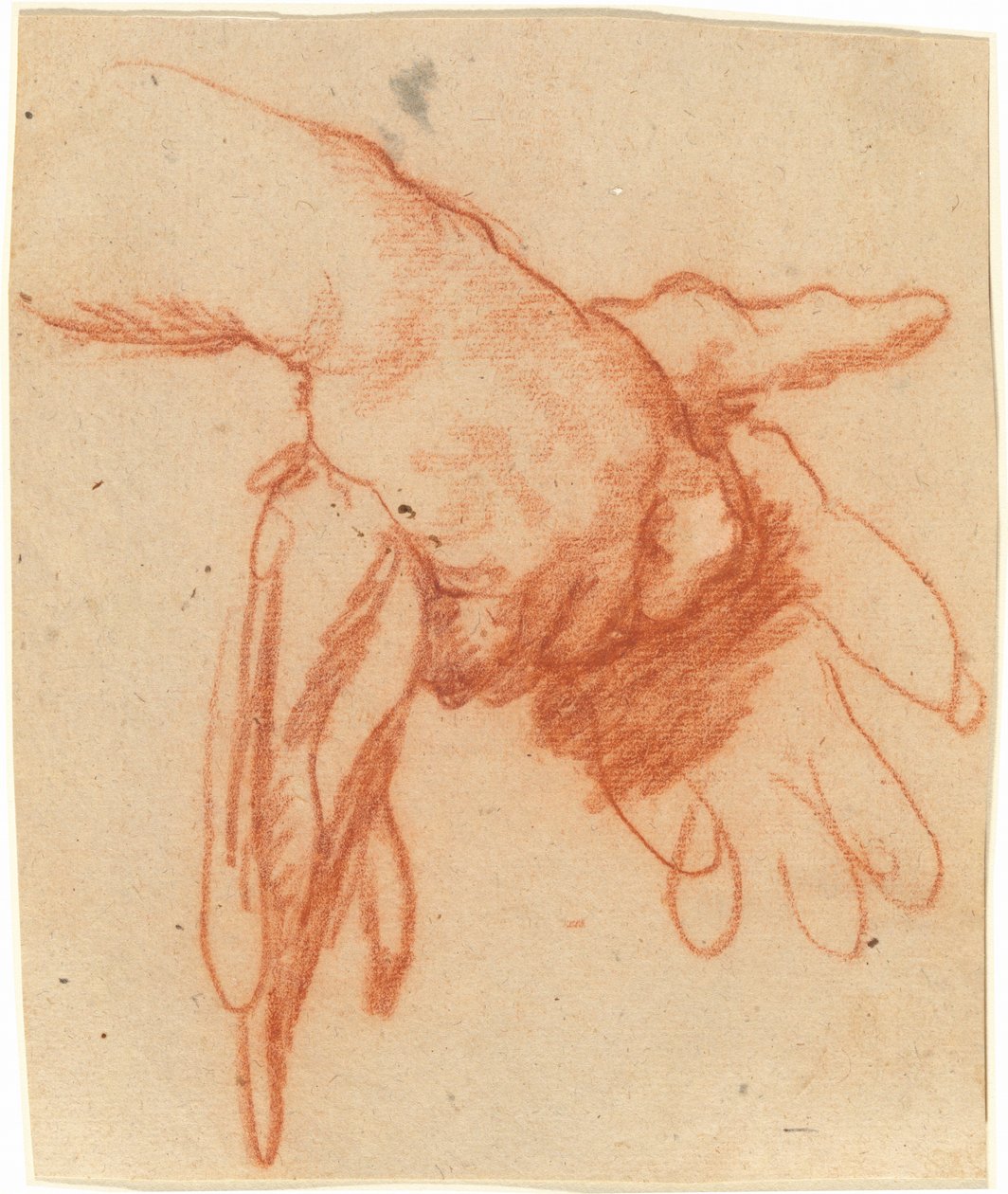 Käsi, jossa on tyhjiä käsineitä tekijältä Bernardo Strozzi