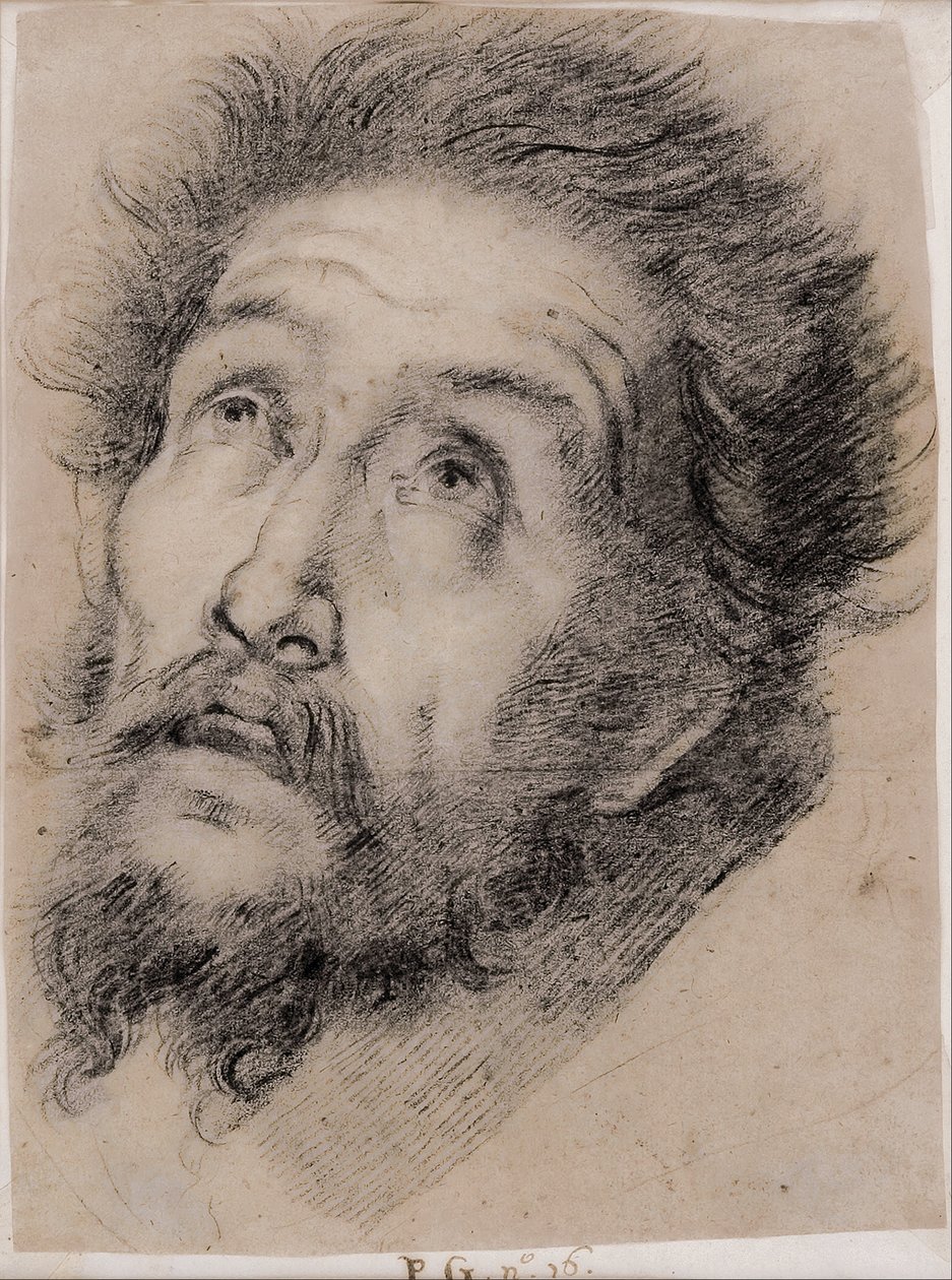 Tutkimus Pyhän Franciscus Assisilaisen ristin palvomisesta tekijältä Bernardo Strozzi
