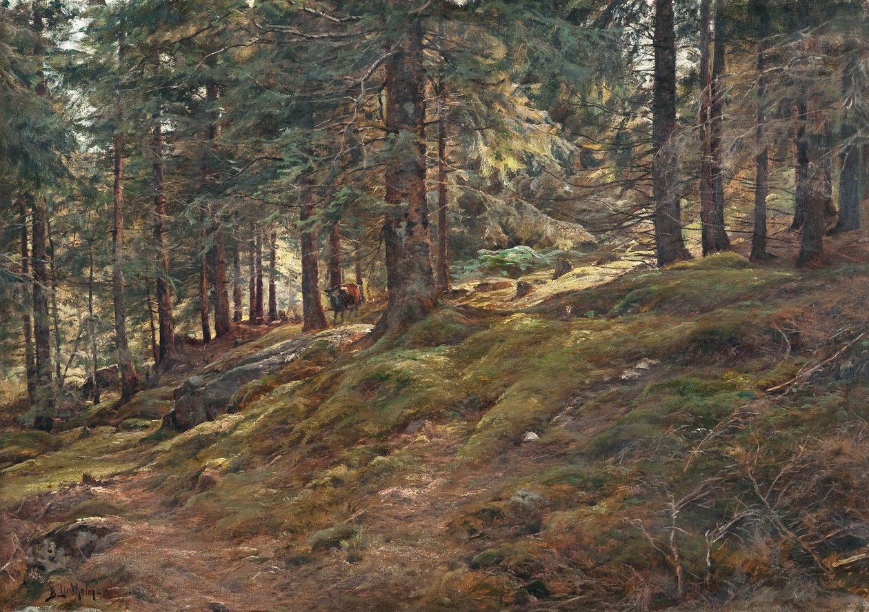 Valoa metsässä tekijältä Berndt Lindholm