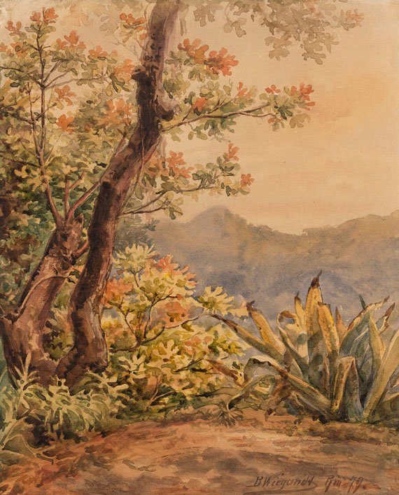 Brasilianische Landschaft mit Agave tekijältä Bernhard Wiegandt