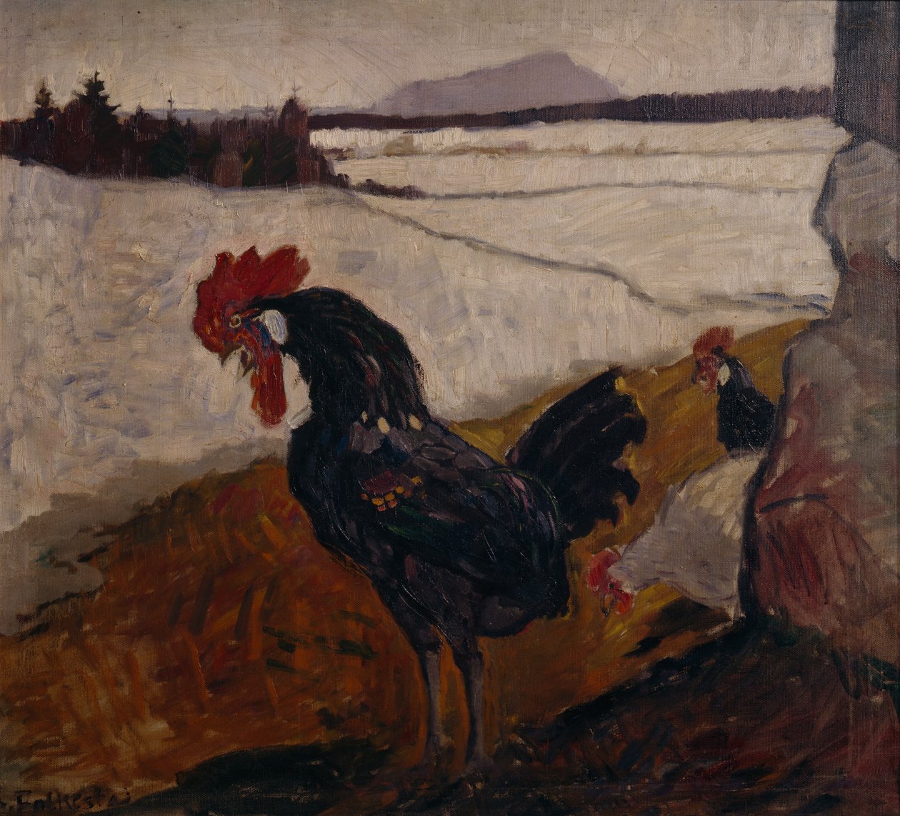 Kukko tekijältä Bernhard Dorotheus Folkestad