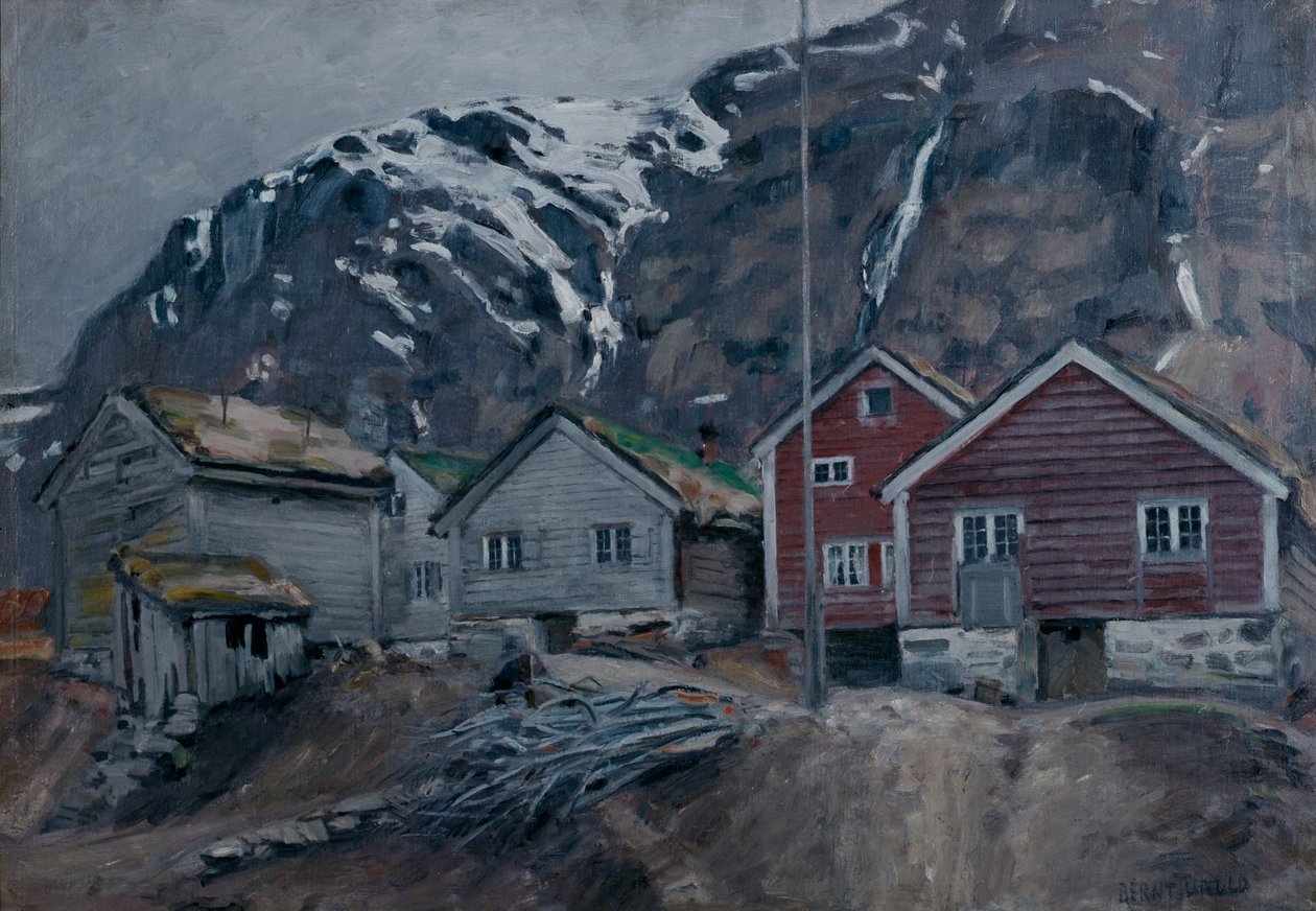 Vanhat talot Hyenissä tekijältä Bernt Wilhelm Tunold