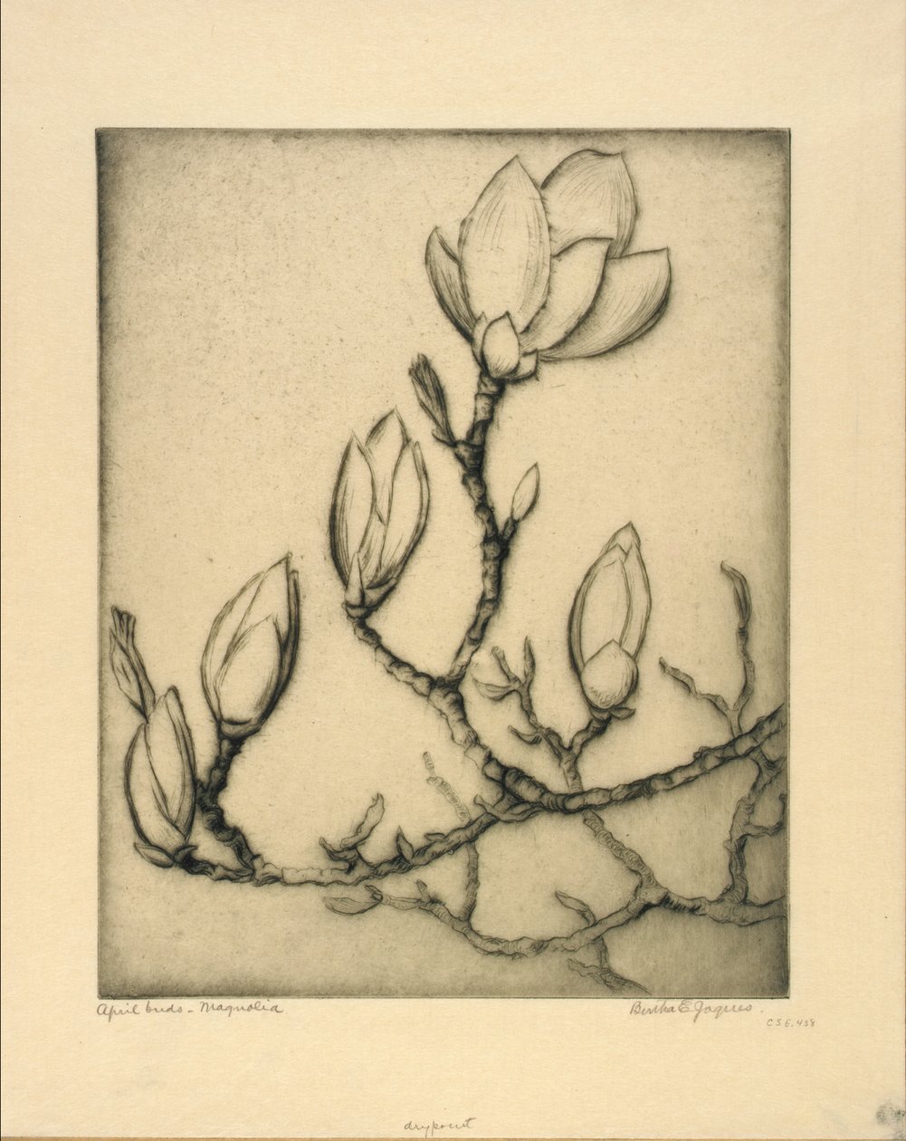 Huhtikuun silmut - Magnolia tekijältä Bertha E. Jaques