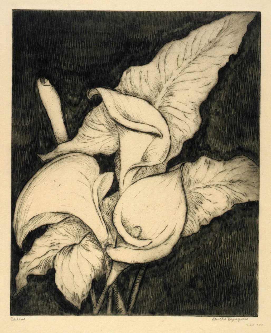Callas tekijältä Bertha E. Jaques