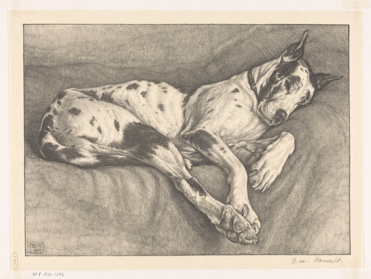 Acabat del gos dormint tekijältä Bertha van Hasselt (signed by artist)