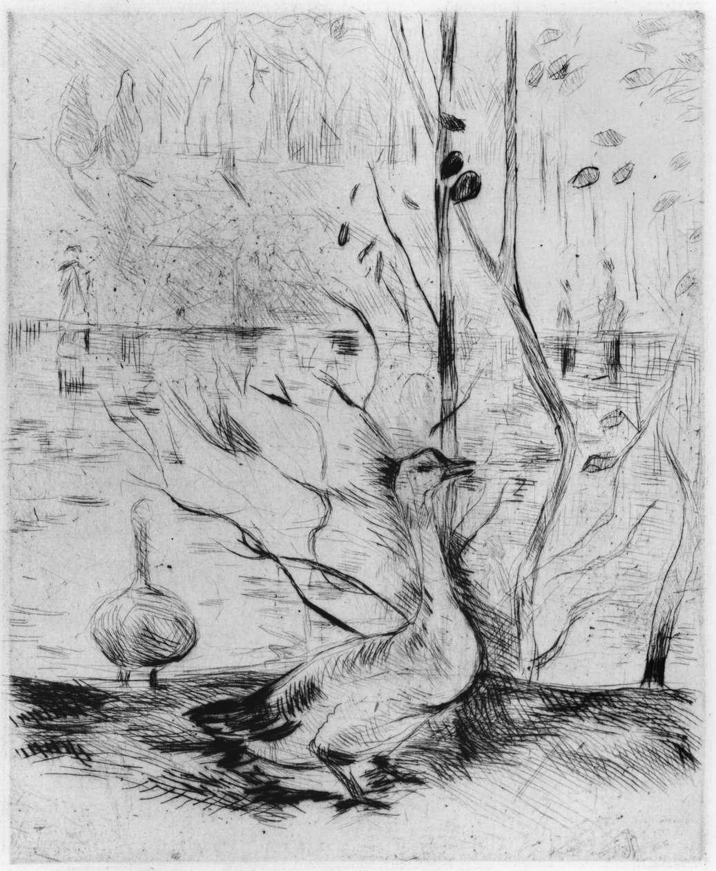 Hanhi, 1889 (kuivakärki) tekijältä Berthe Morisot