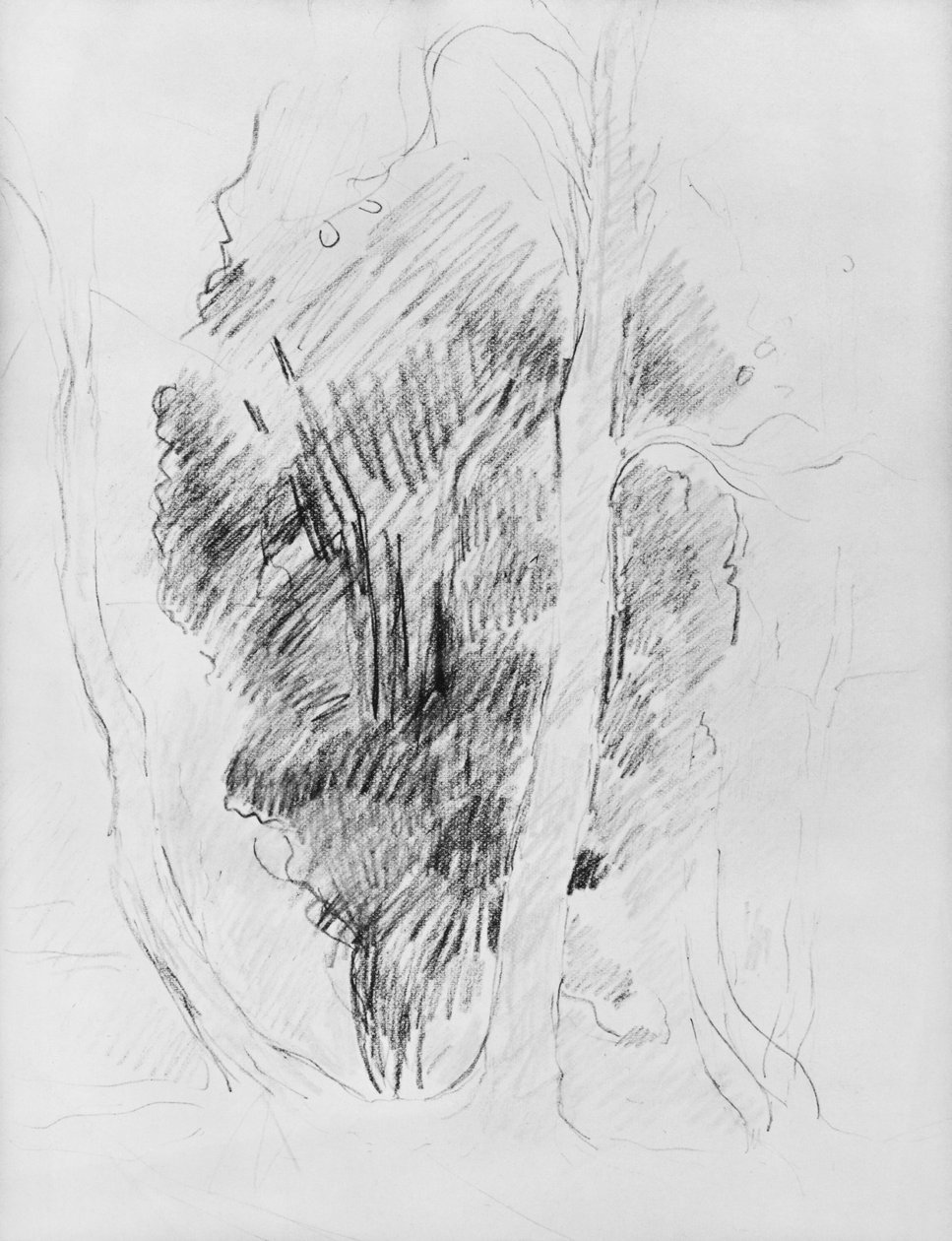 Puiden tutkimus, 1893 tekijältä Berthe Morisot