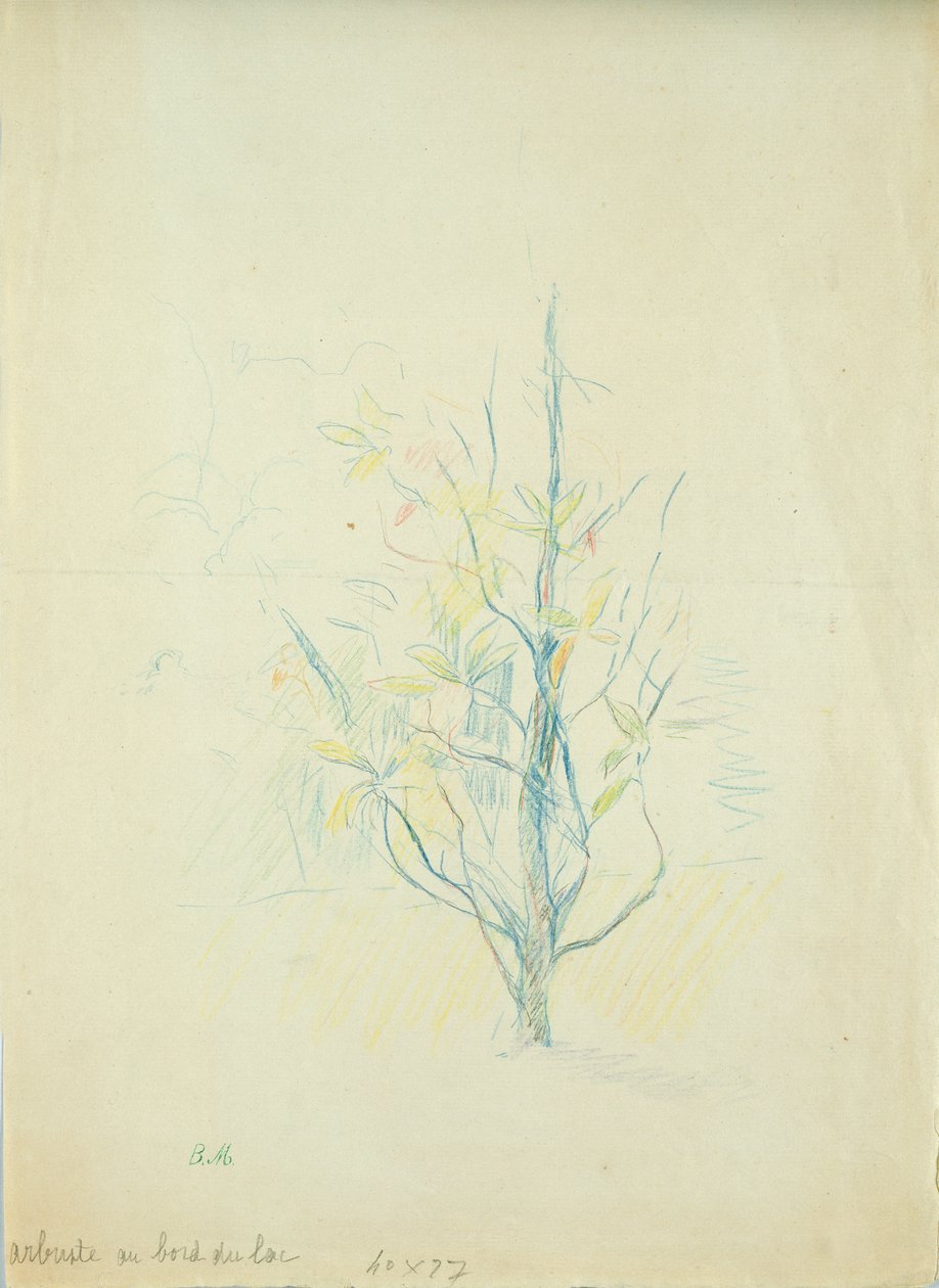 Pensaat järven rannalla, 1893 (värikynä paperille) tekijältä Berthe Morisot