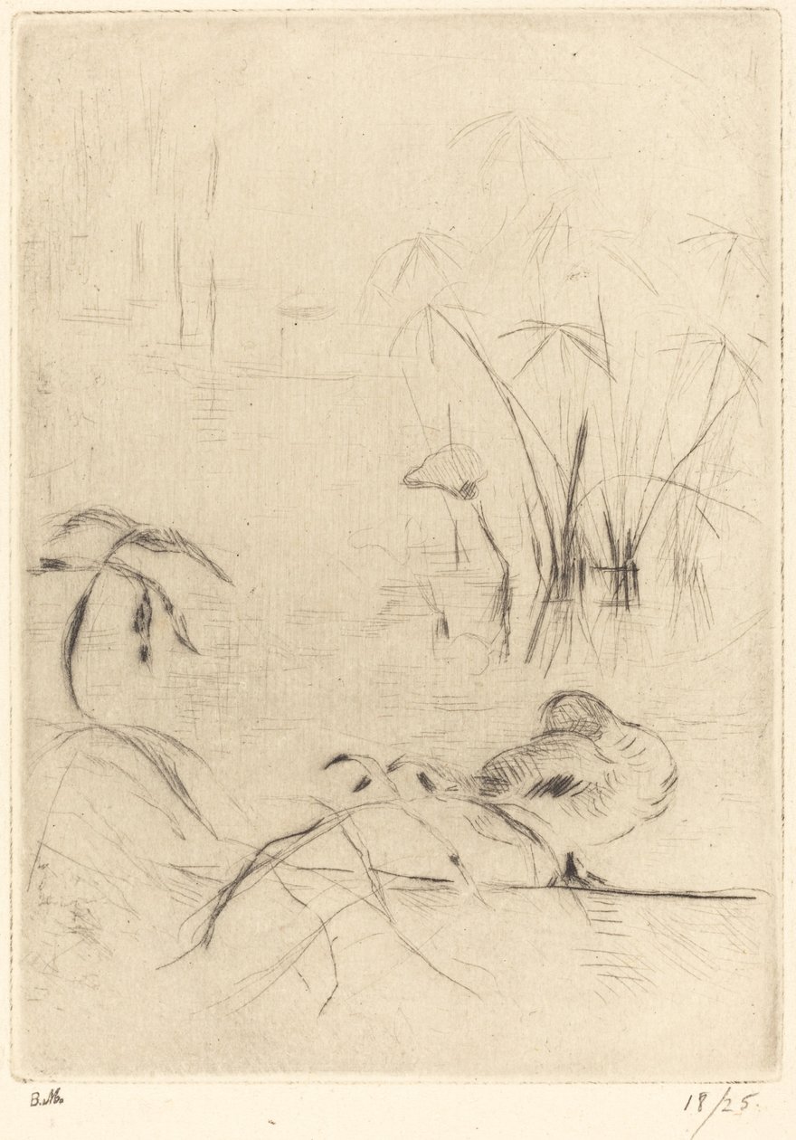 Ducks at Rest on the Bank tekijältä Berthe Morisot