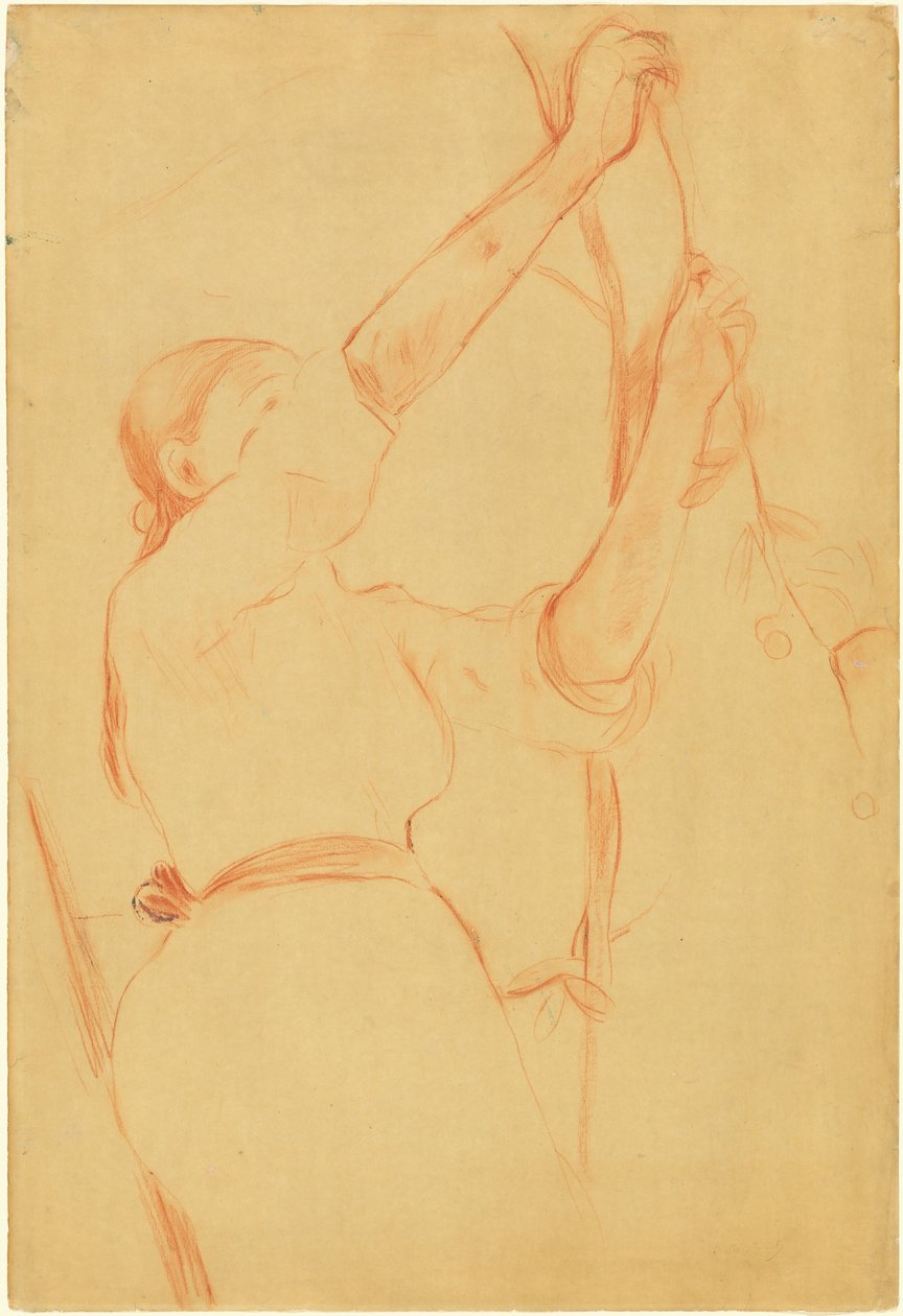 Kirsikoita poimiva tyttö, 1891. tekijältä Berthe Morisot
