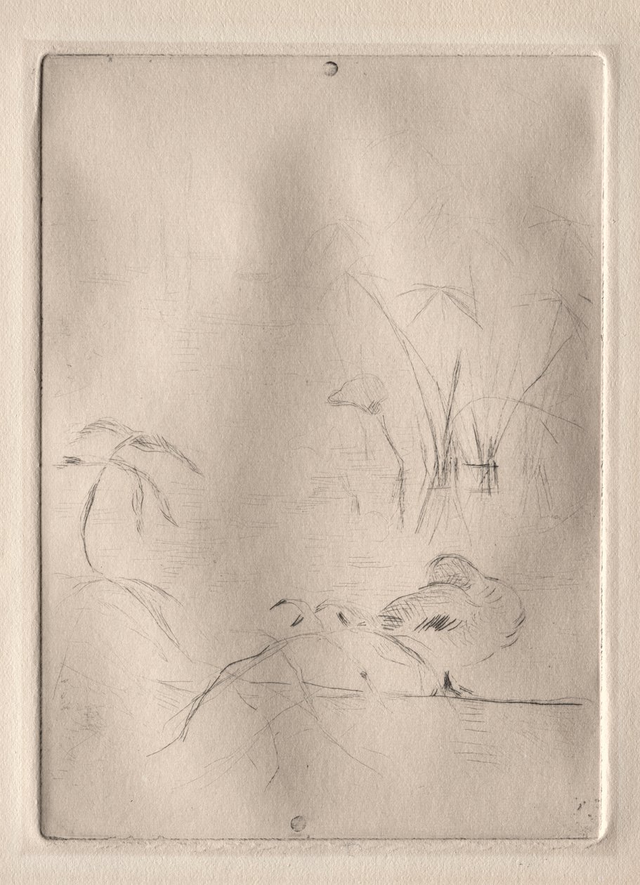 Ankka tekijältä Berthe Morisot