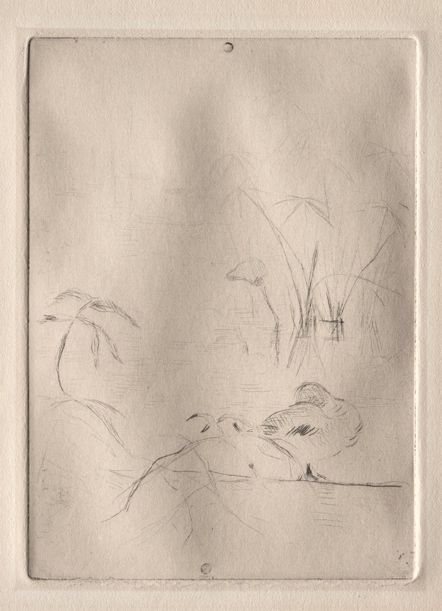 Ankka tekijältä Berthe Morisot