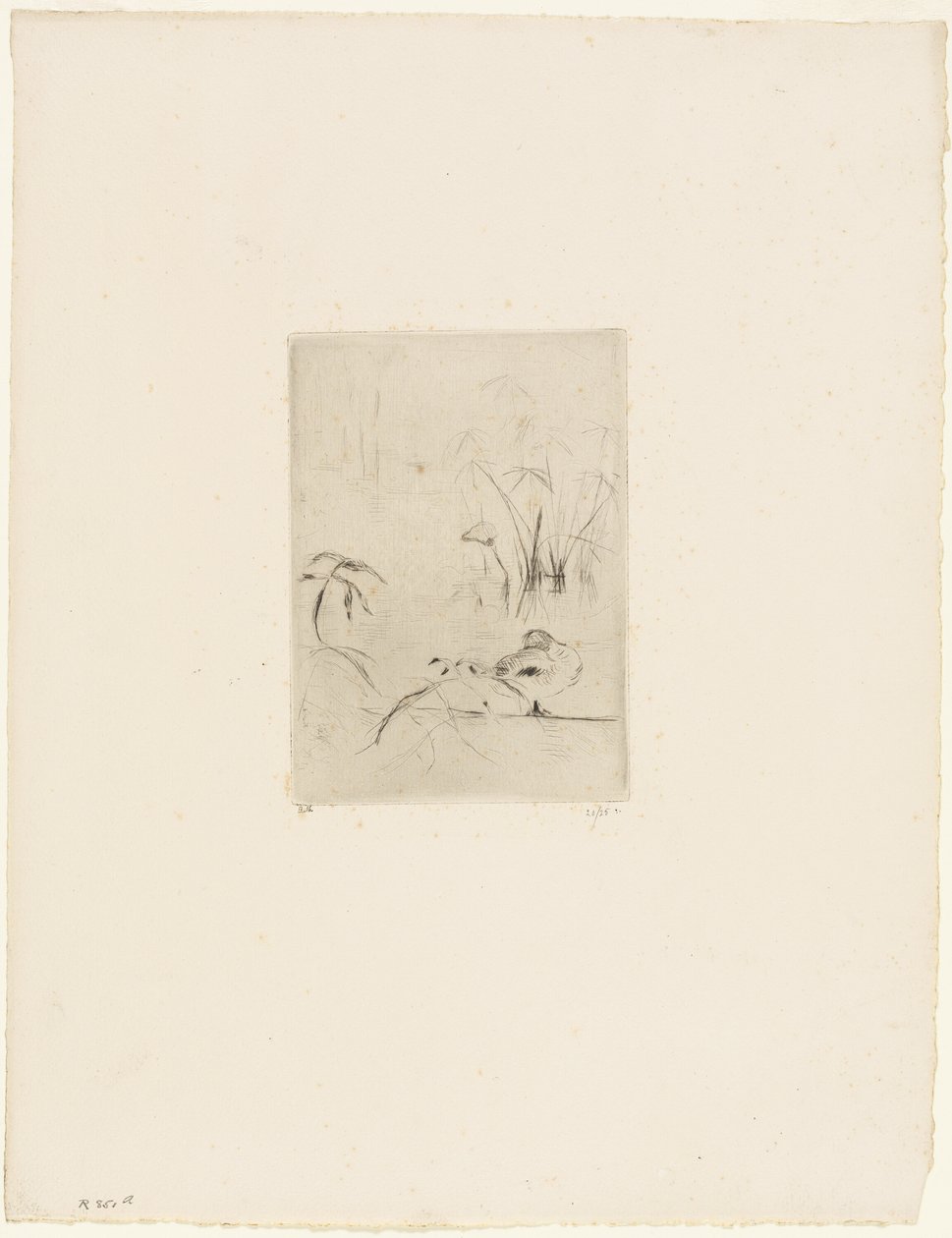 Ankka tekijältä Berthe Morisot