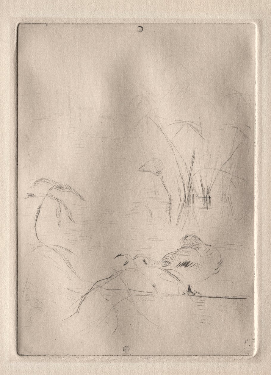 Ankka, 1888-90. tekijältä Berthe Morisot