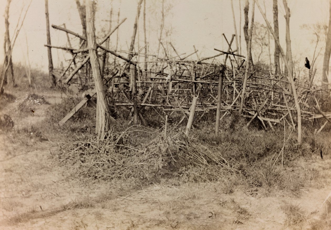 Albumi ensimmäisestä maailmansodasta Friuli-Venezia Giuliassa: puolustava este (friisihevoset), 05/1916 (b / v kuva) tekijältä Bertoni Bertoni