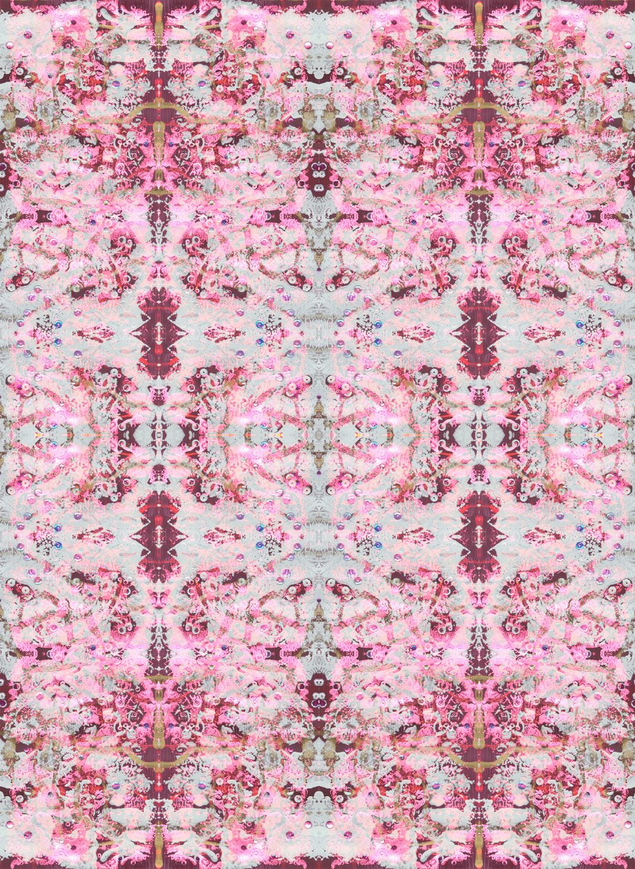 Burgandy Rose, 2015 (sekatekniikka, kuvitus, digitaalinen) tekijältä Beth Travers