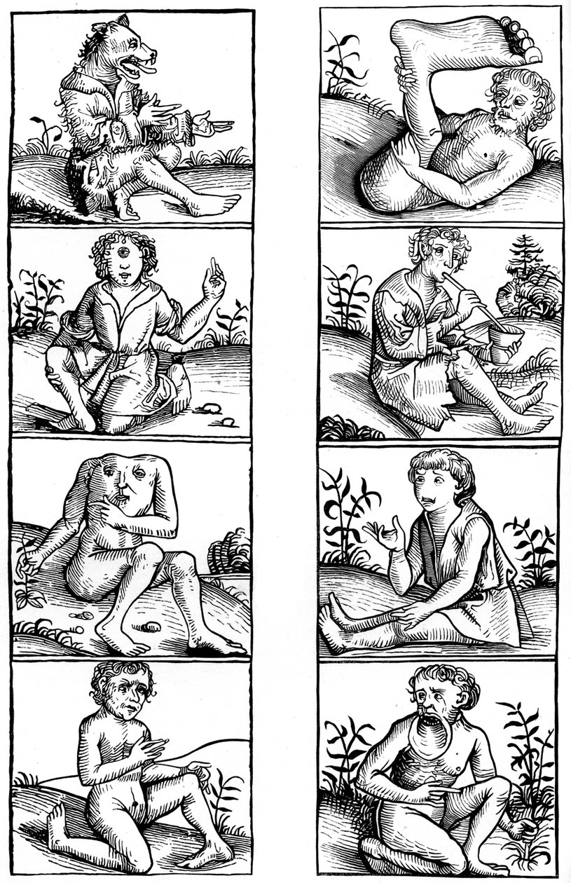 Uskomukset ja yleiset taikauskot, 1493 1849. tekijältä Bisson and Cottard
