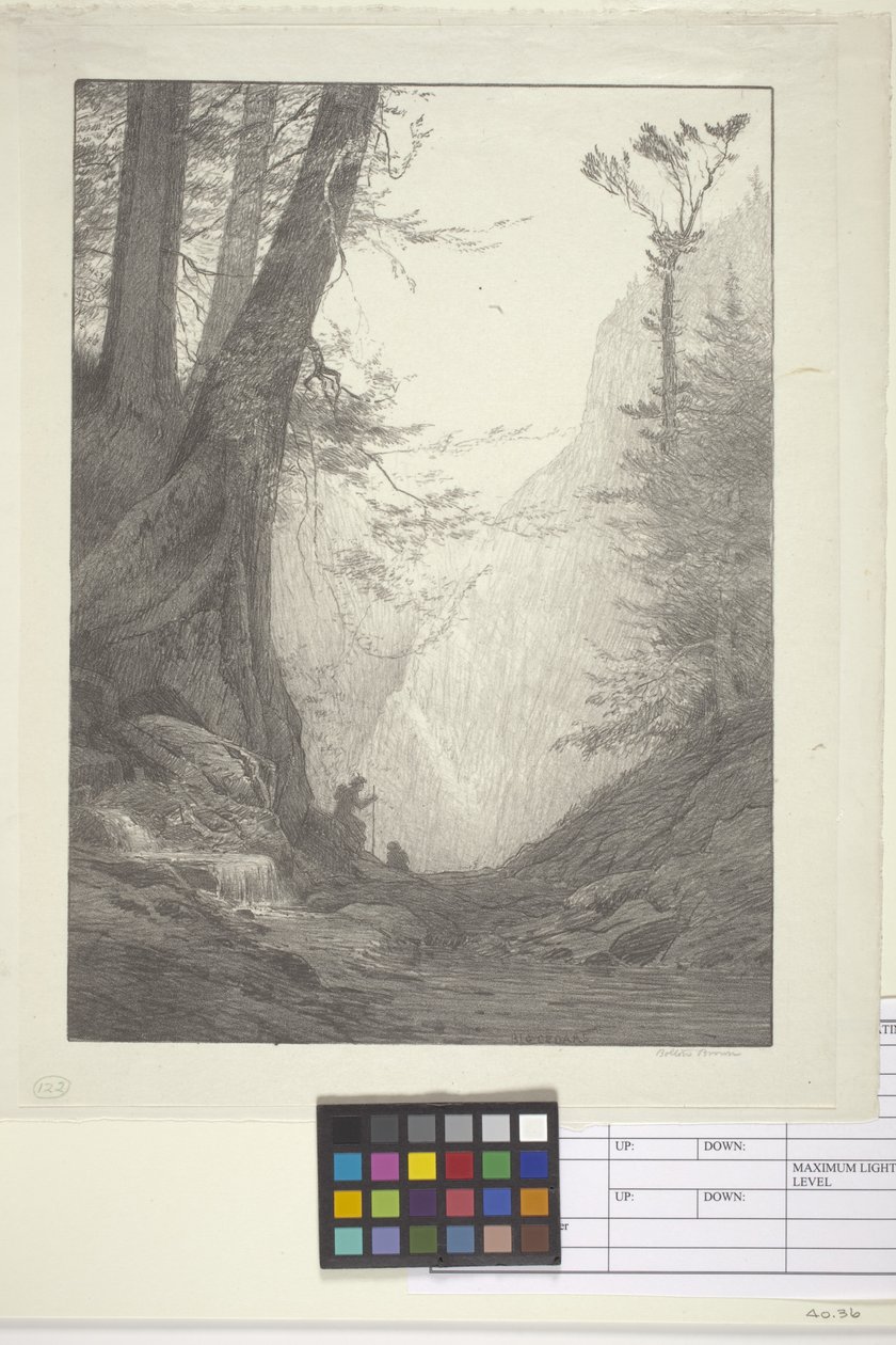 Isot setrit (muste paperille, litografia) tekijältä Bolton Coit Brown