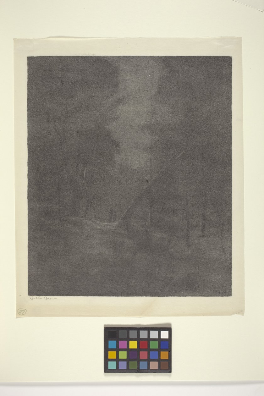 Moonlight Woods (tinta sobre papel)finlandês tekijältä Bolton Coit Brown