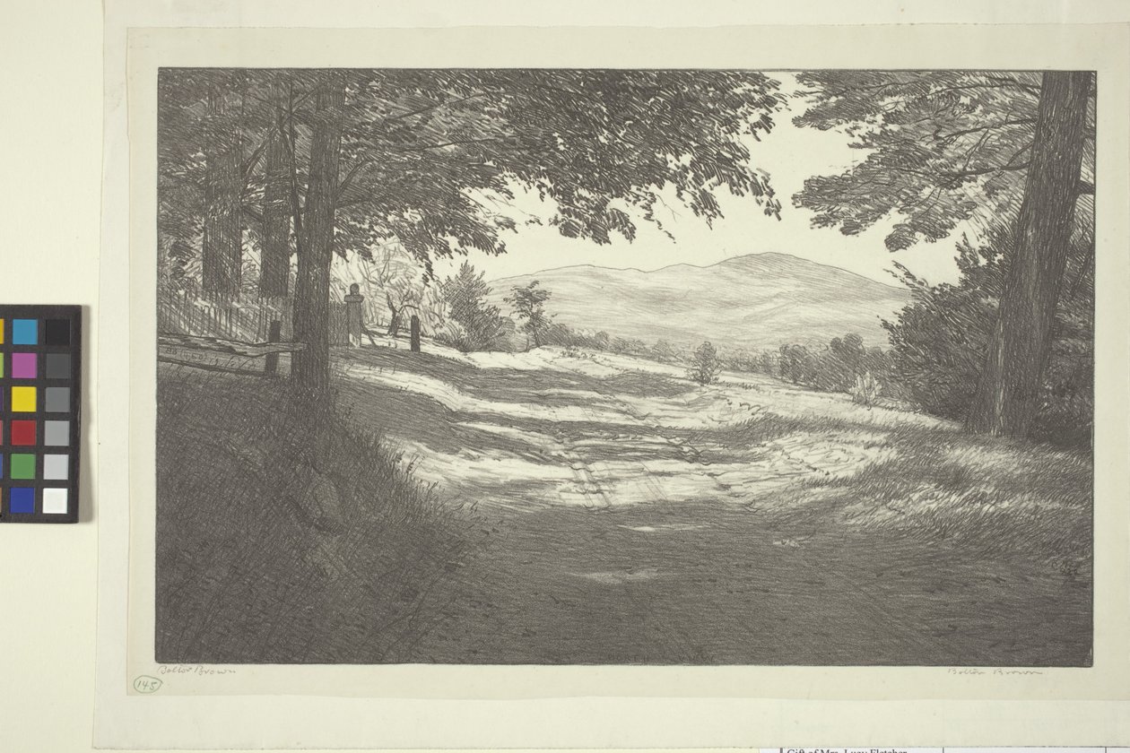 North View (muste paperille) tekijältä Bolton Coit Brown