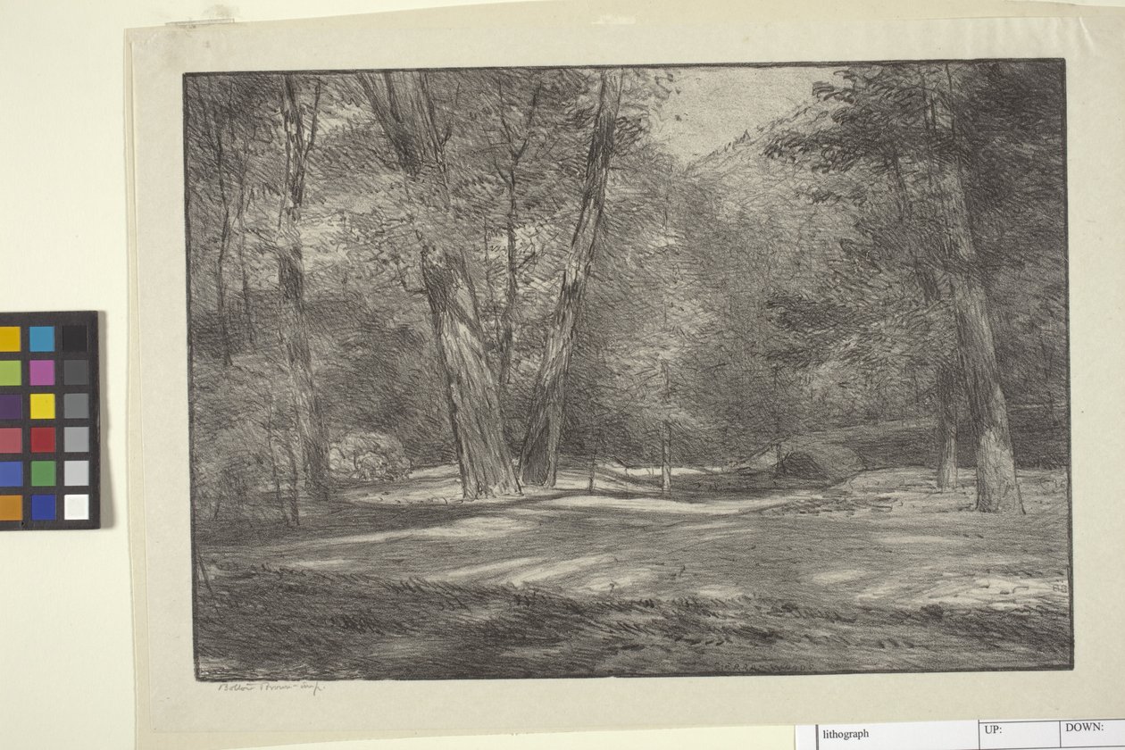 Sierra Woods (muste paperille) tekijältä Bolton Coit Brown