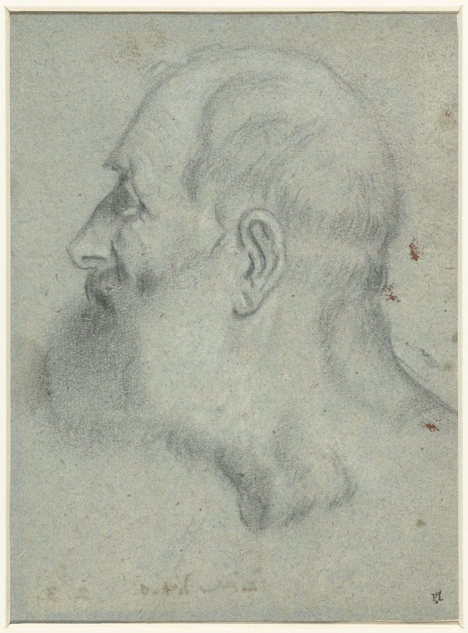 Parrakkaan miehen pää, profiilissa vasemmalla tekijältä Bonifazio Veronese (attributed to)