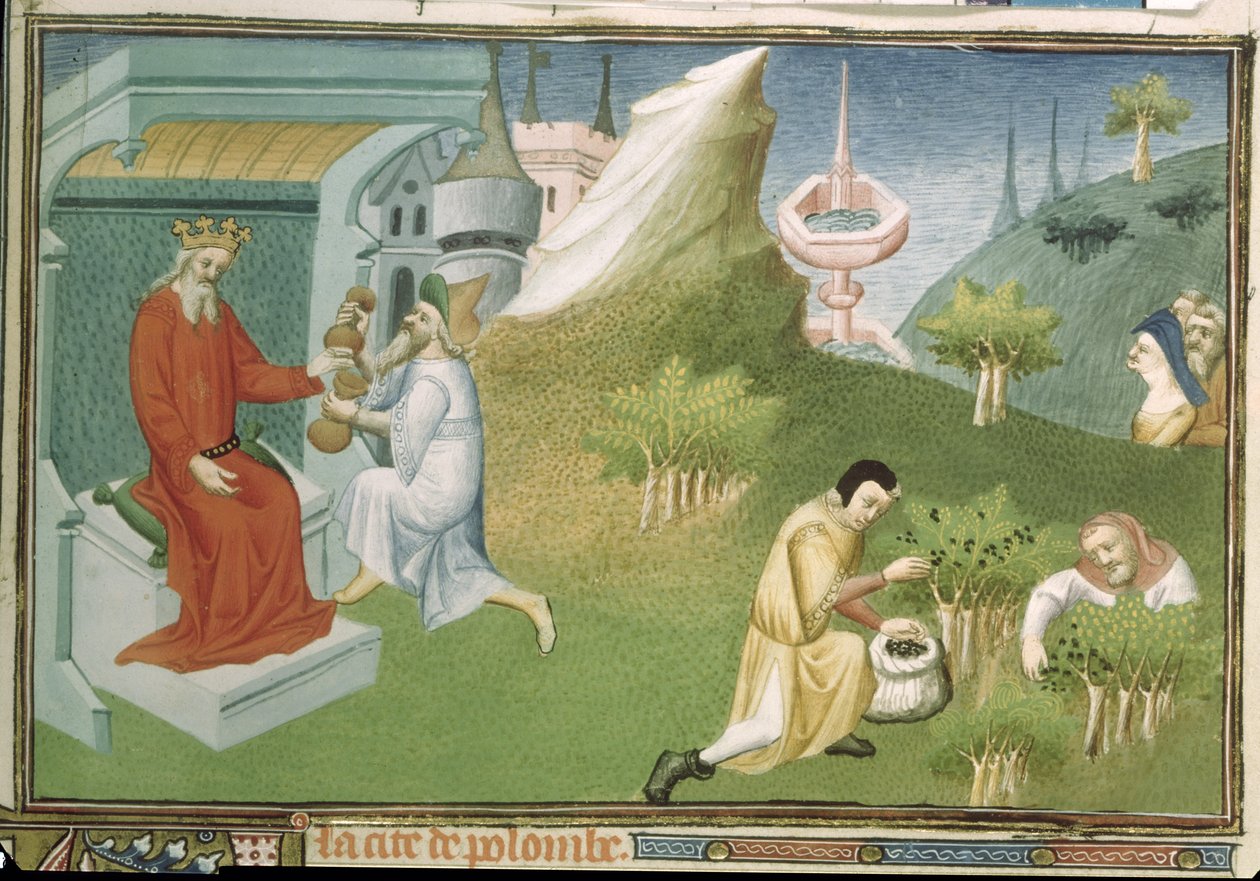 Ms Fr 2810 f.186, Pippurin sadonkorjuu ja hedelmien tarjoaminen kuninkaalle, "Livre des Merveilles du Monde", n. 1410-1412 (tempera vellum) tekijältä Boucicaut Master