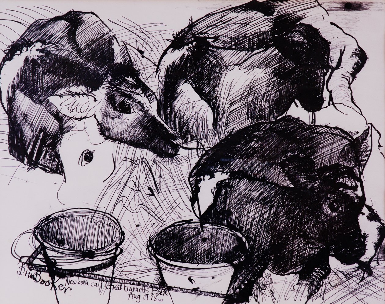 Vasikat, kosteat, vastasyntyneet, 1978 tekijältä Brenda Brin Booker