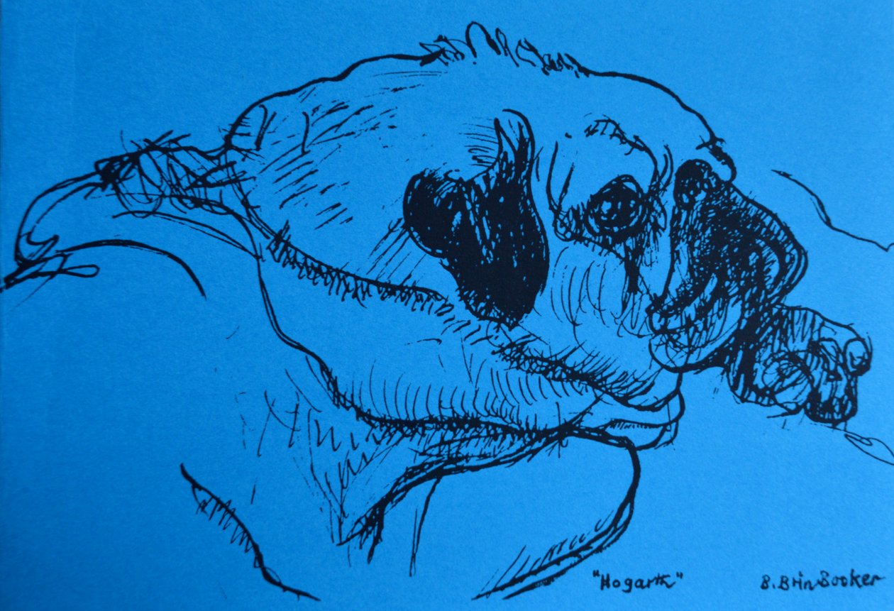 "Hogarth" (muste sinisellä paperilla) tekijältä Brenda Brin Booker