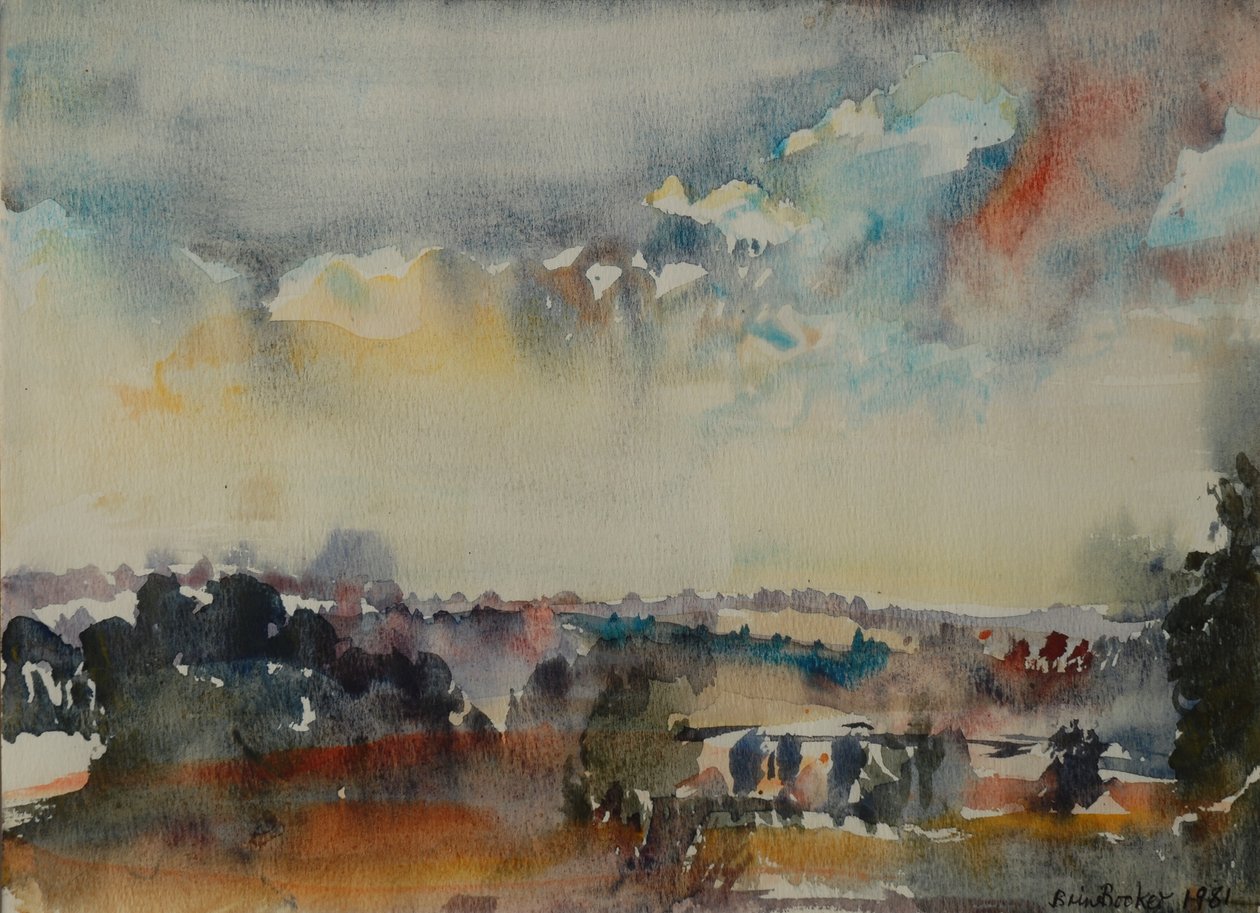 October Sky, 1981 tekijältä Brenda Brin Booker