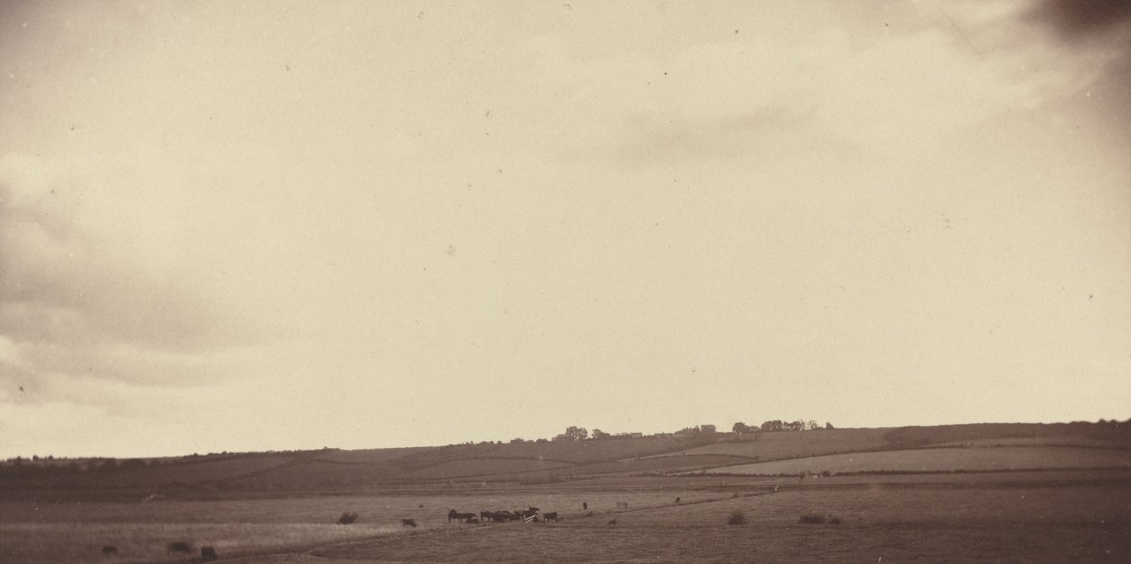 Näkymä pelloille lehmien kanssa tekijältä British 19th Century