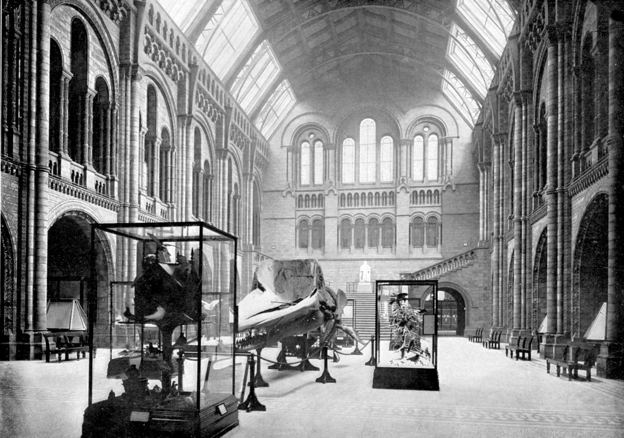 Natural History Museumin sisääntulo, South Kensington, Lontoo, 1890 tekijältä British Photographer