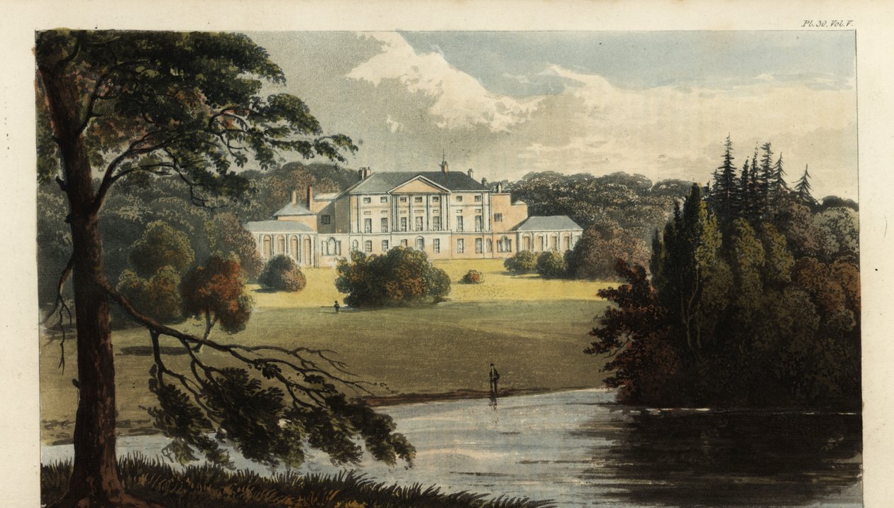 Enmoren linna, Somerset, Egmontin kolmannen jaarlin kotipaikka tekijältä British School